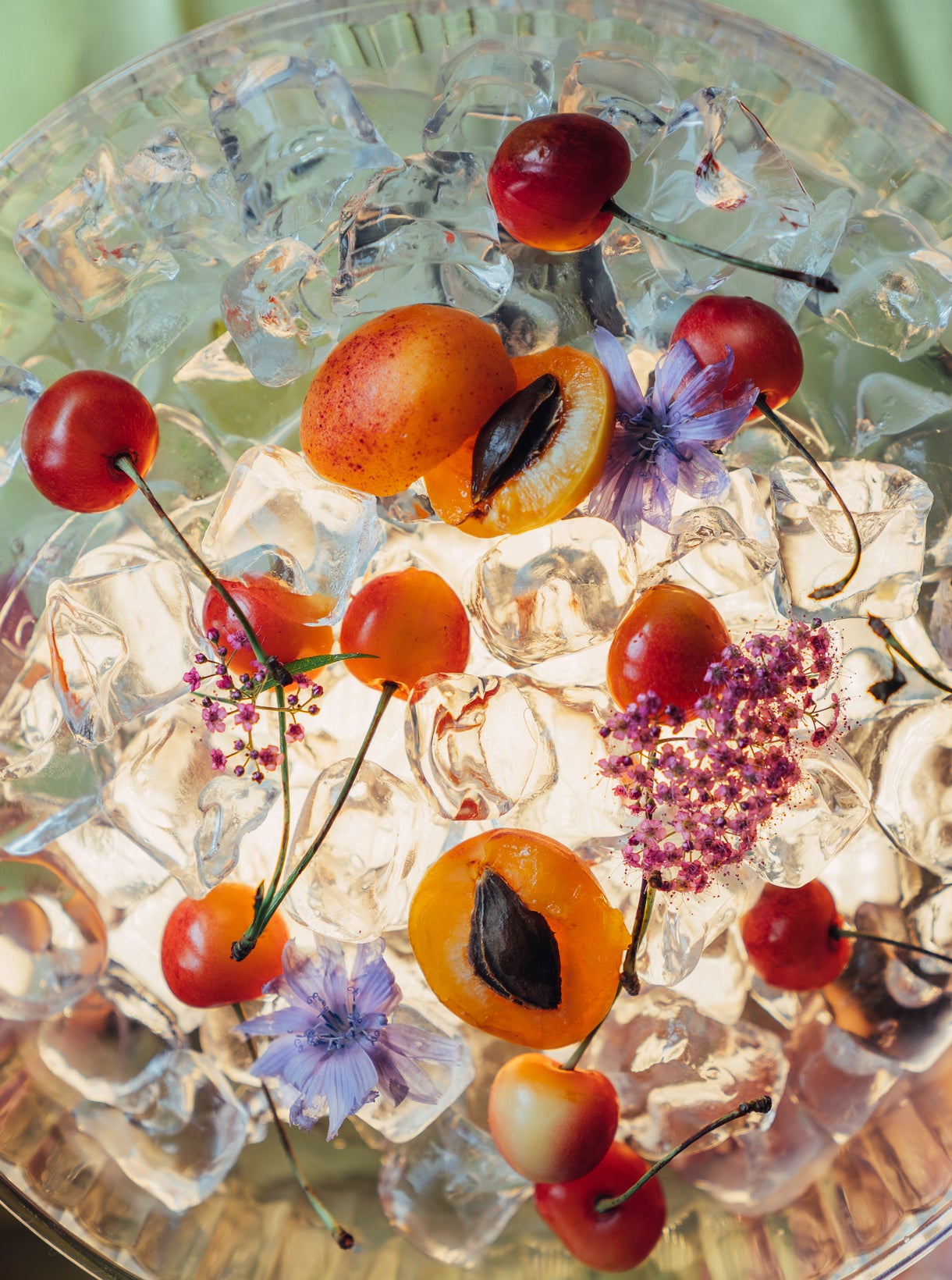 Waist-down image of a womxn in underwear filled with plants.