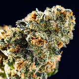 Quiet Times 1g Doob: Dobos Triangle