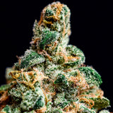 Fast Times 1g Doob: Sour Peaches