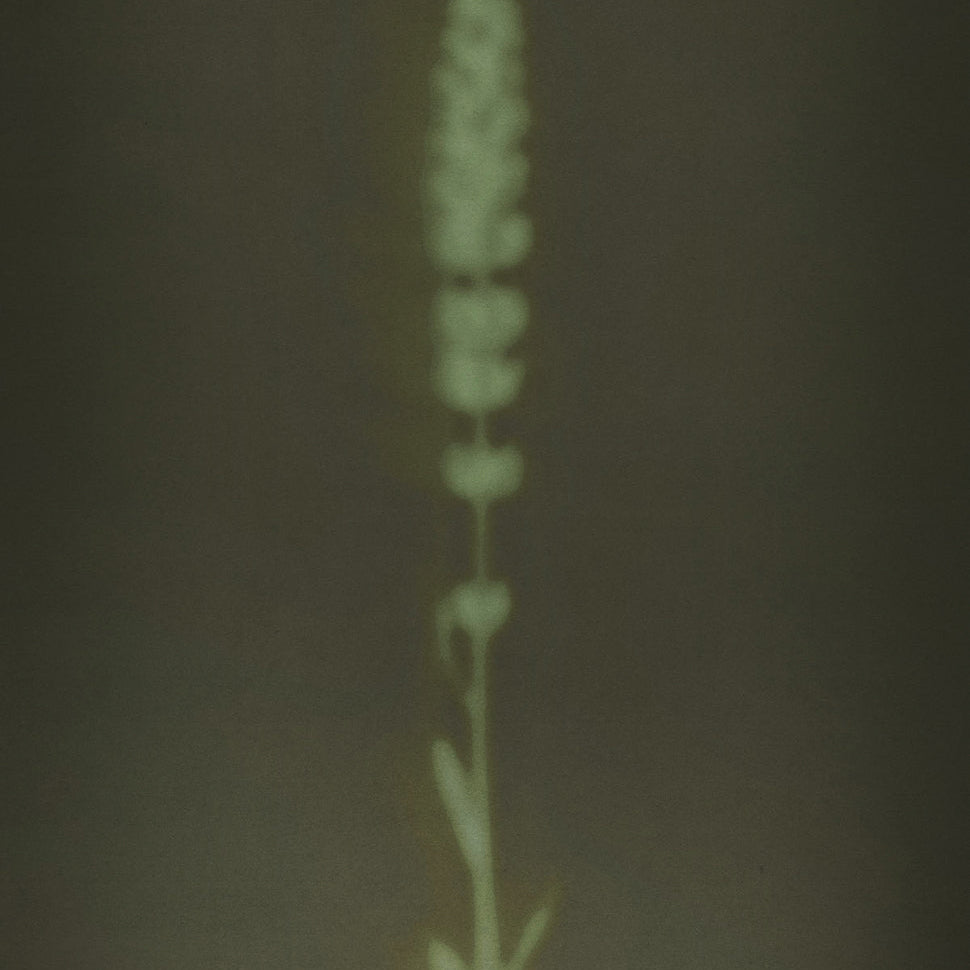 Pleasure Was Criminalized