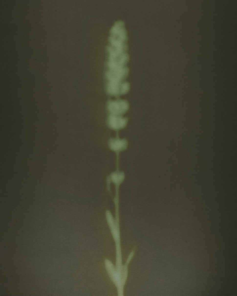 Pleasure Was Criminalized