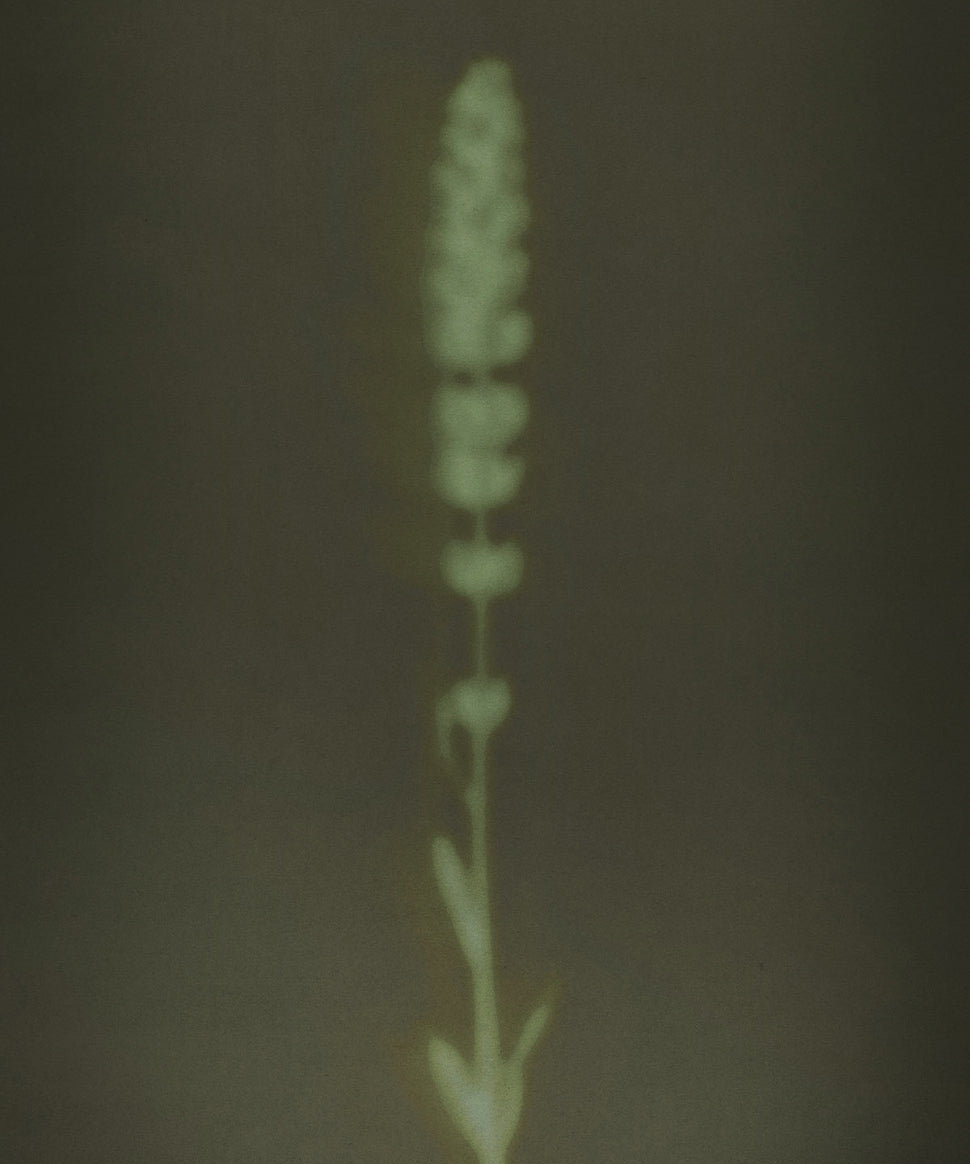 Pleasure Was Criminalized