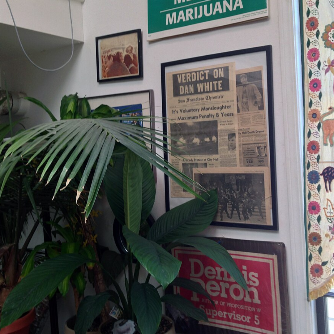 Cannabis Was Legalized Because Queer People Refused to Let Their Friends Die