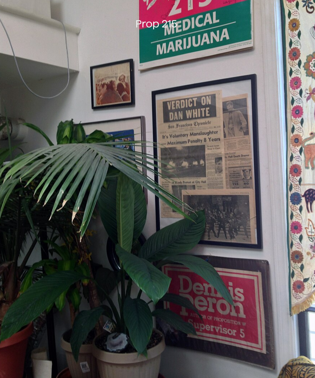 Cannabis Was Legalized Because Queer People Refused to Let Their Friends Die