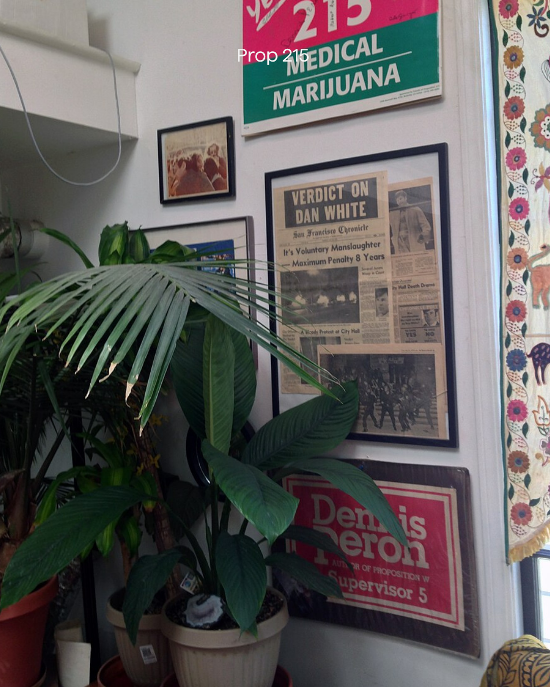 Cannabis Was Legalized Because Queer People Refused to Let Their Friends Die