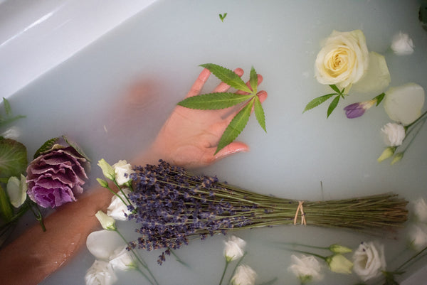 Image of cannabis leaves, lavender, and roses sprinkled in bathwater.