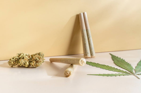 cannabis or cbd and drug-testing