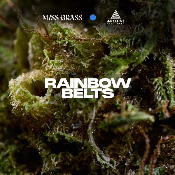 Rainbow Belts: Zkittles X Moon Bow 75