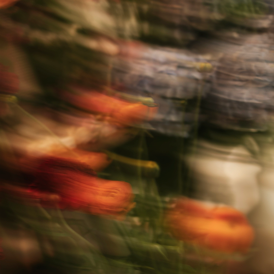 Why It’s Time to Think Beyond Strains