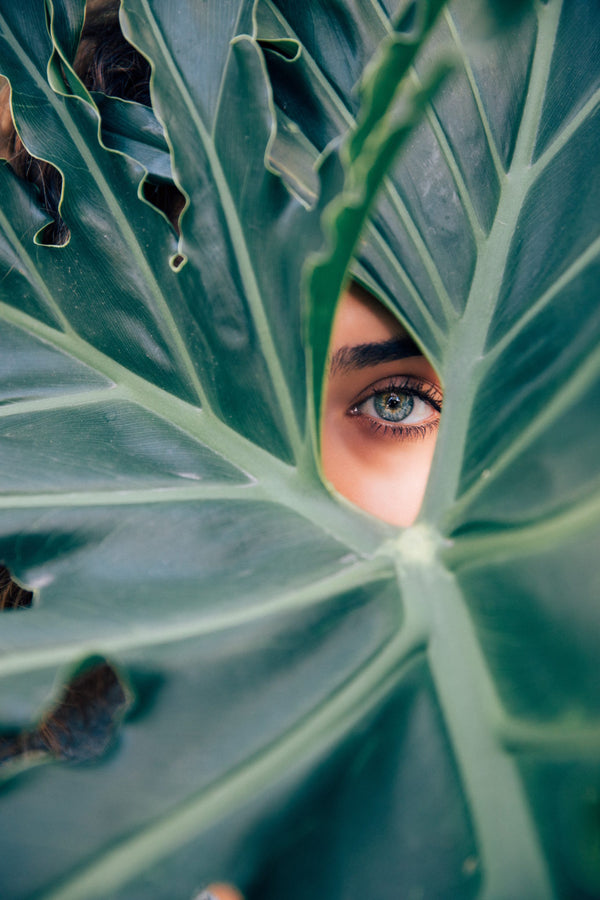 A woman gazing through a palm frond.