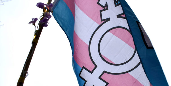 A text banner that reads "Protect Trans Lives"