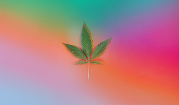 Image of a cannabis leaf on a psychedelic, colorful background.